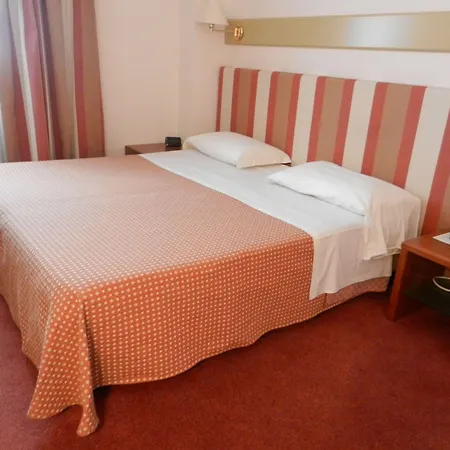 Hotel Eurohotel Palace Maniago